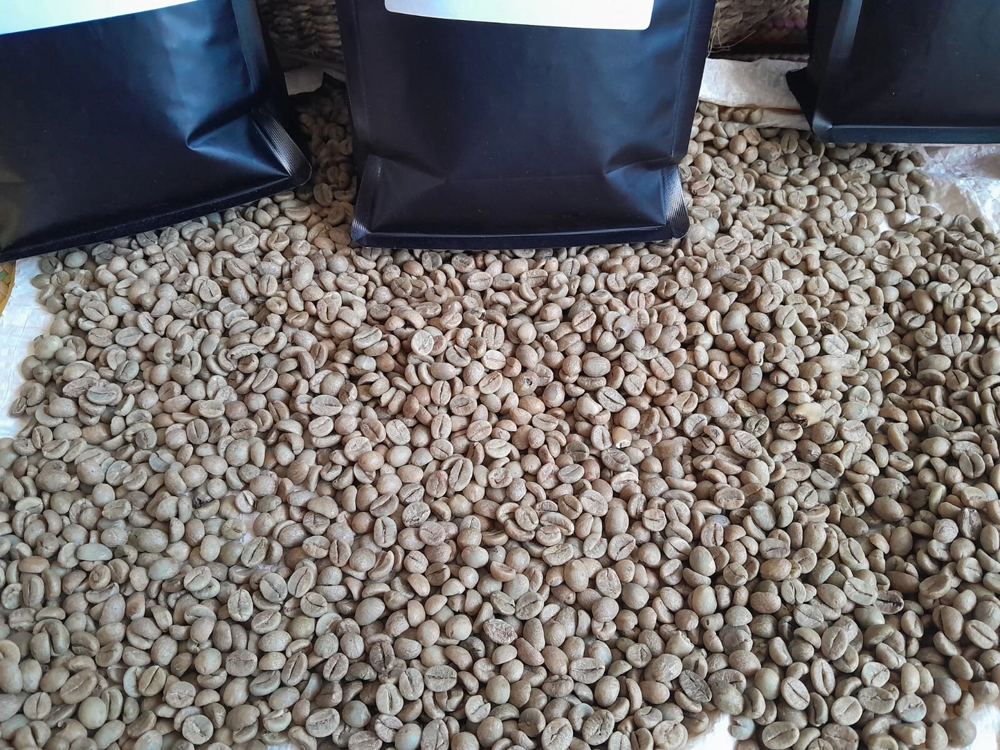 Ugandan Fresh raw / Un-roasted Green Robusta Coffee Beans
