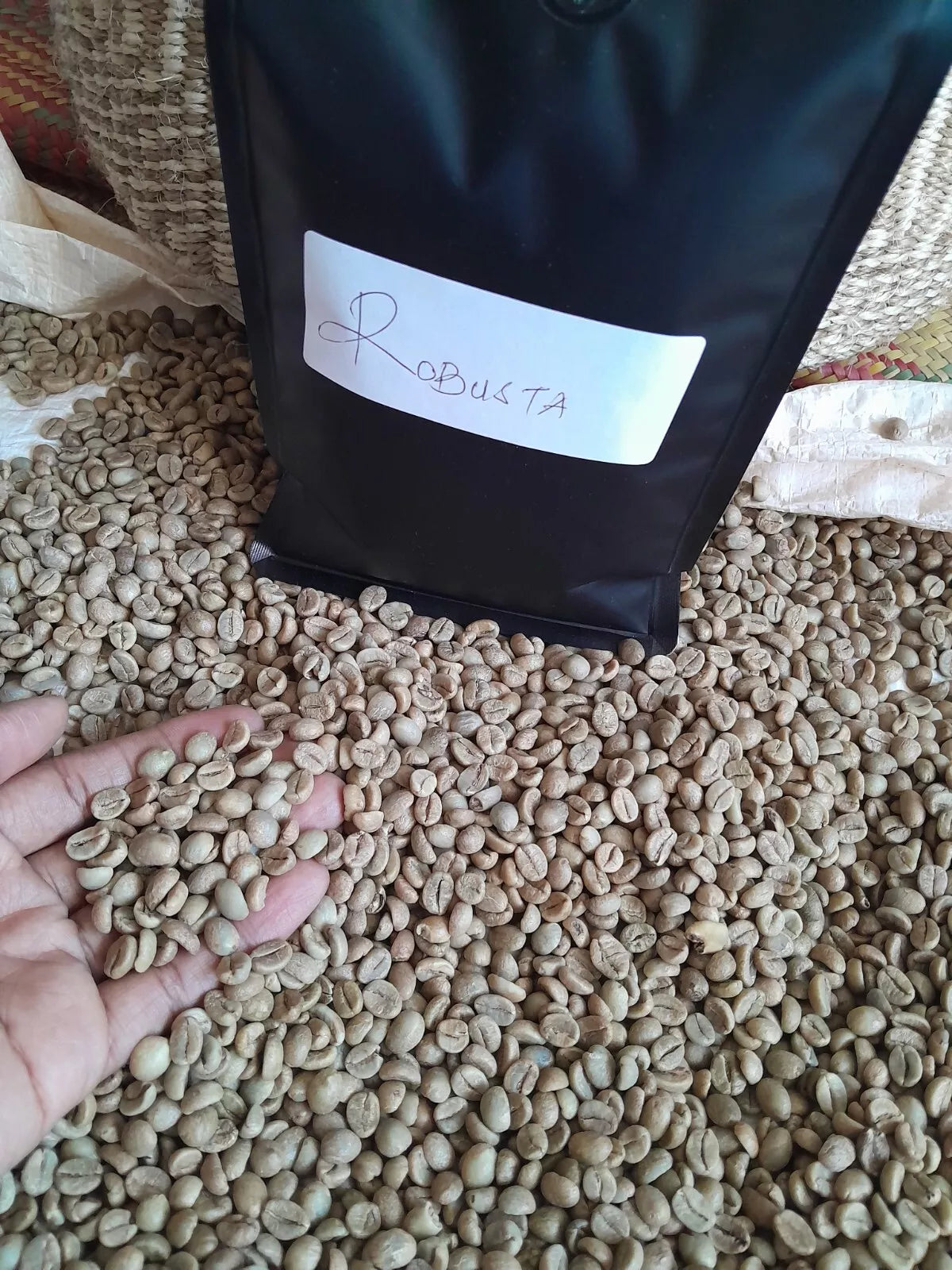 Ugandan Fresh raw / Un-roasted Green Robusta Coffee Beans