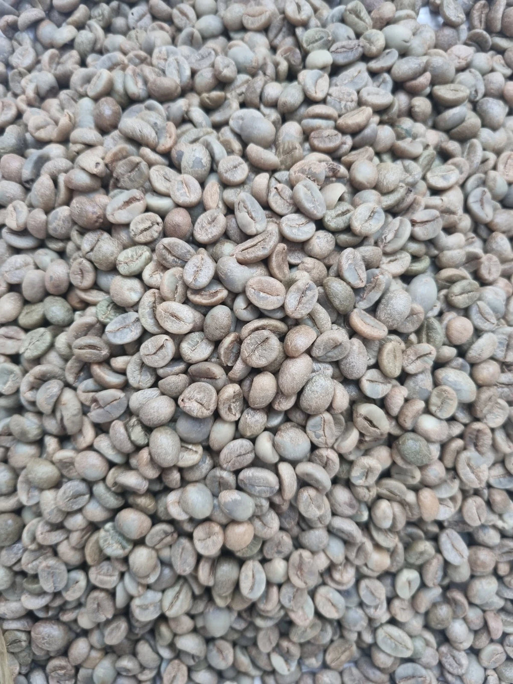 RETAIL - UGANDA WASHED ARABICA AA GREEN BEANS